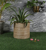 Rattan Planter | Cane Laundry Bin | Bamboo toy Storage - Mirai by Luxury Rattan Handicrafts
