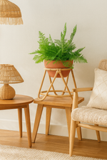 Handcrafted Rattan Planter Stand with Ceramic Pot – Boho & Cozy Home Décor - HEVERY by Luxury Rattan Handicrafts