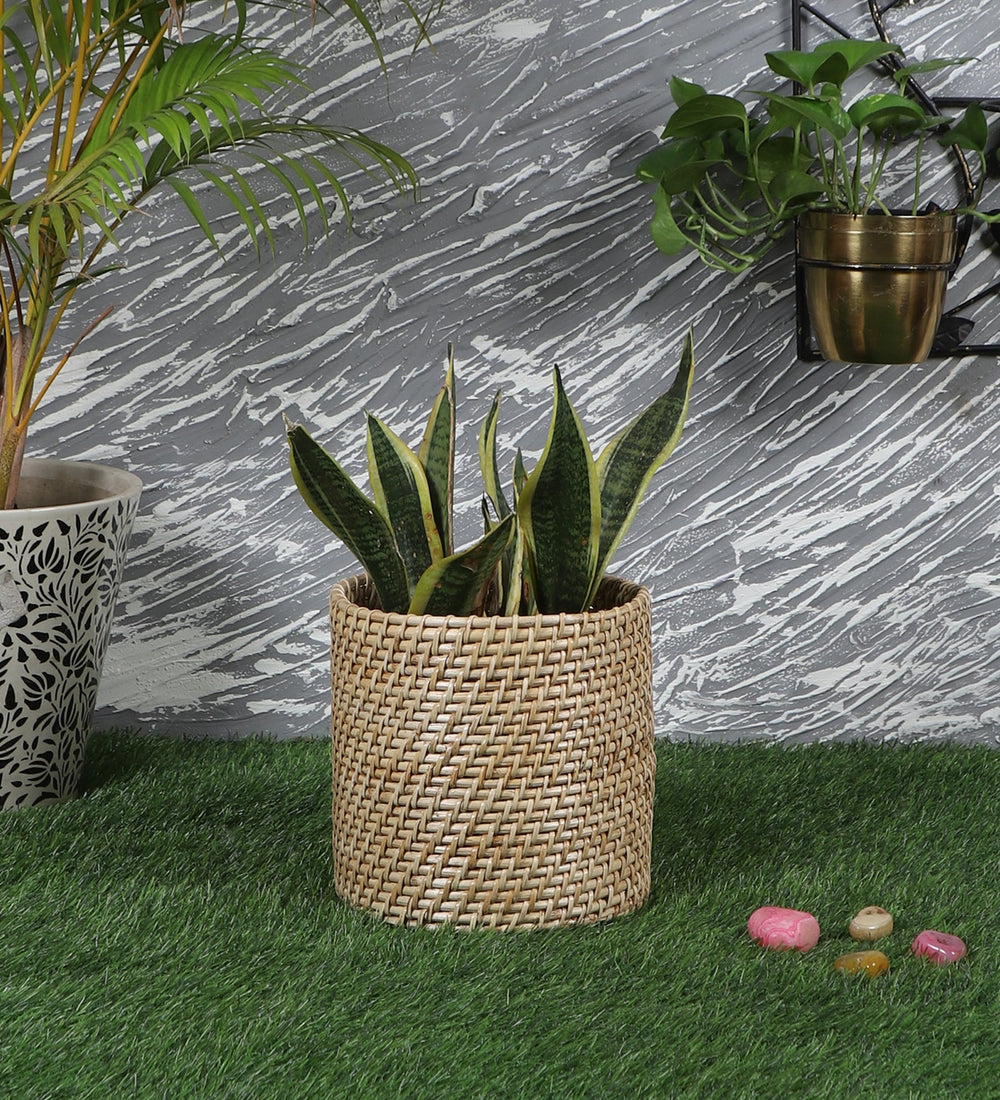 Rattan Planter | Cane Laundry Bin | Bamboo toy Storage - Mirai by Luxury Rattan Handicrafts 