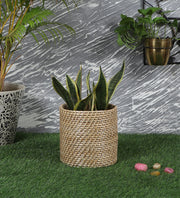 Rattan Planter | Cane Laundry Bin | Bamboo toy Storage - Mirai by Luxury Rattan Handicrafts 