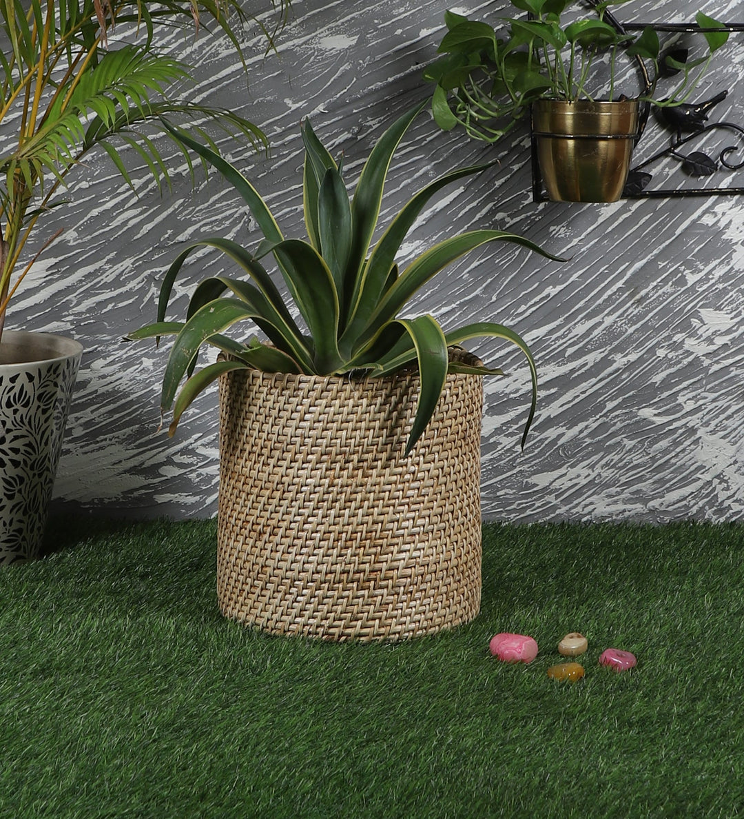 Rattan Planter | Cane Laundry Bin | Bamboo toy Storage - Mirai by Luxury Rattan Handicrafts 