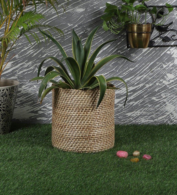 Rattan Planter | Cane Laundry Bin | Bamboo toy Storage - Mirai by Luxury Rattan Handicrafts 