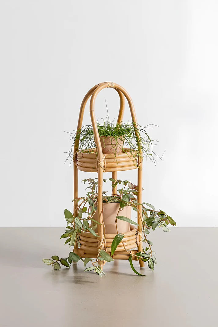 Rattan Planter for Indoor - Kaia