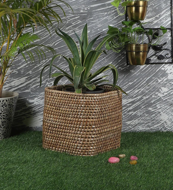 Rattan Planter 8" Dia x 8" H for Indoor - Hawthorn