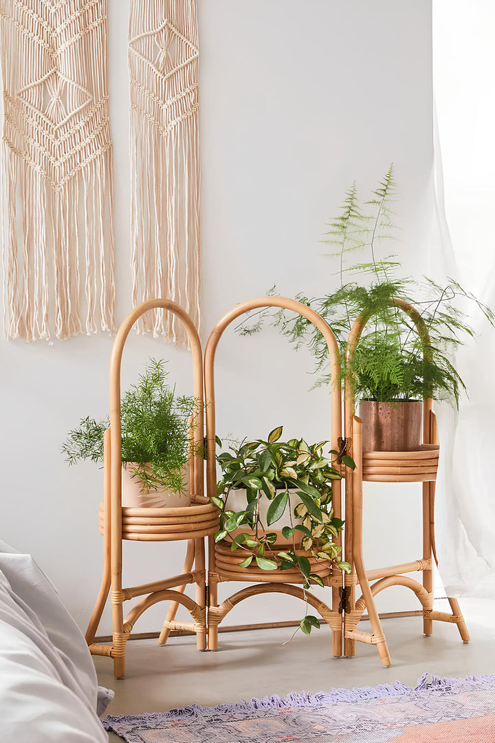 Rattan Plant Pots | Cane Flower Pots | Bamboo Planters - Kashvi by Luxury Rattan Handicrafts 