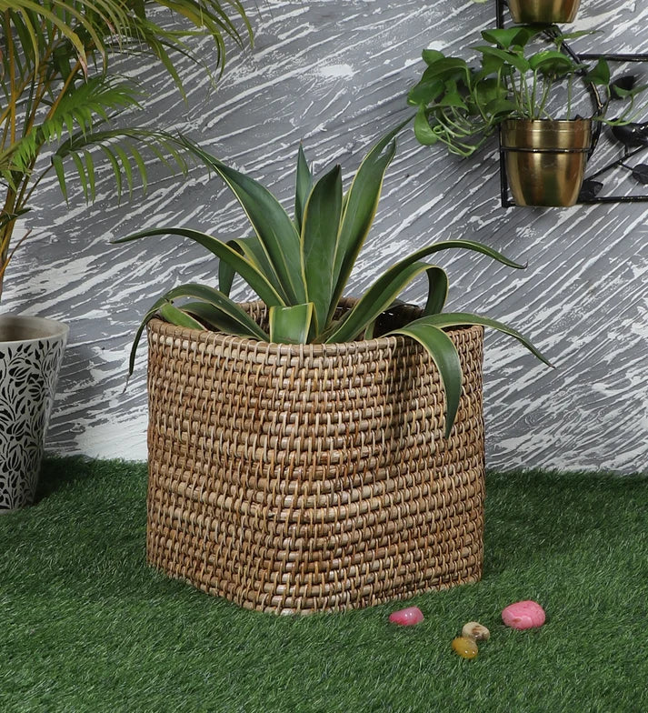 Rattan Planter 8" Dia x 8" H for Indoor - Hawthorn
