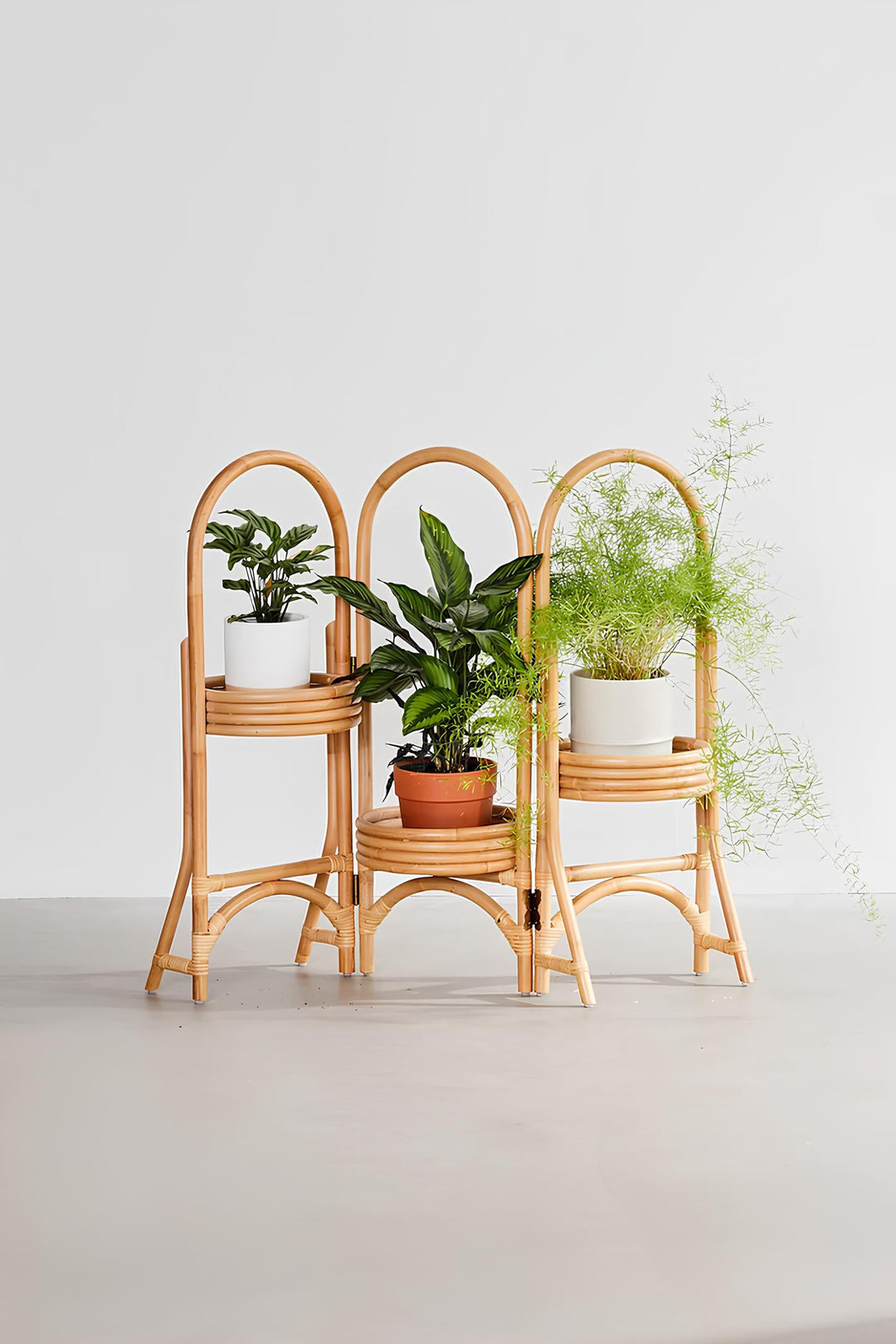 Rattan Plant Pots | Cane Flower Pots | Bamboo Planters - Kashvi by Luxury Rattan Handicrafts 