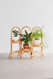 Rattan Plant Pots | Cane Flower Pots | Bamboo Planters - Kashvi by Luxury Rattan Handicrafts 