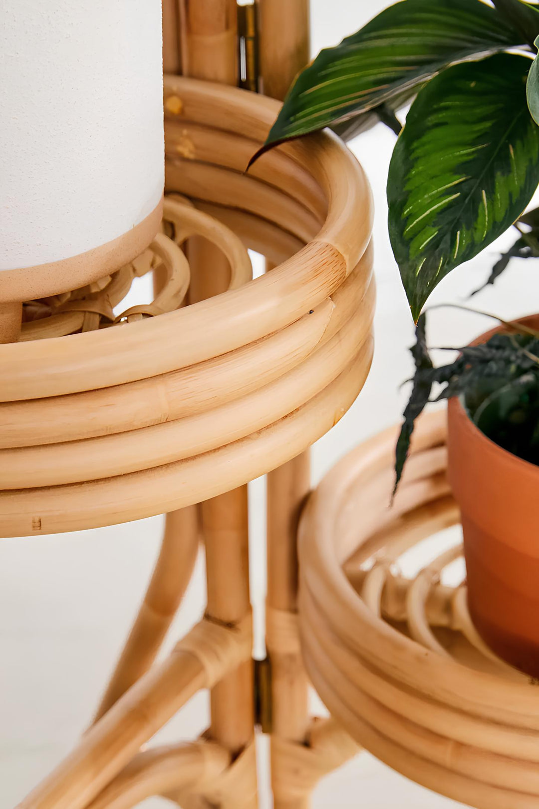 Rattan Plant Pots | Cane Flower Pots | Bamboo Planters - Kashvi by Luxury Rattan Handicrafts 