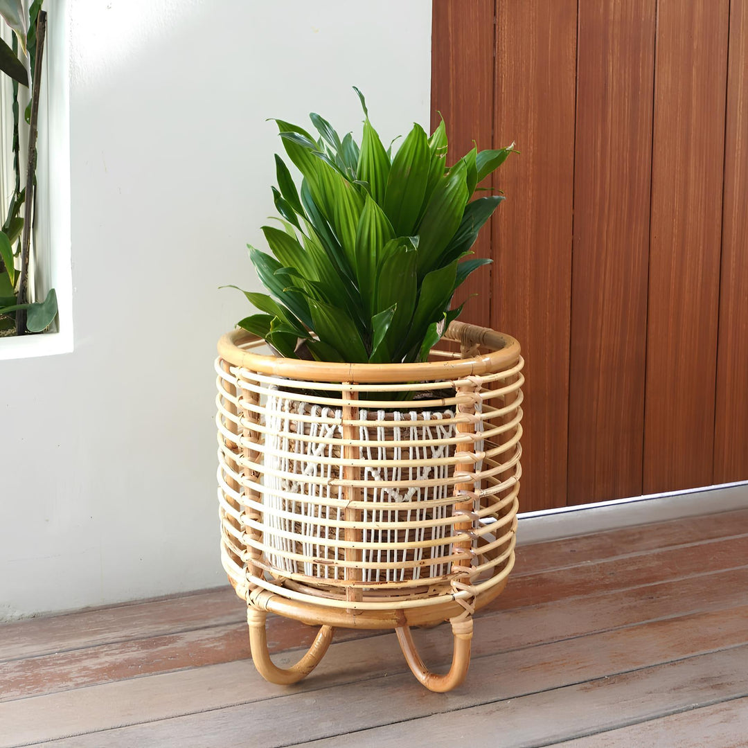 Rattan Plant Pots | Cane Flower Pots | Bamboo Planters - Kimaya by Luxury Rattan Handicrafts 