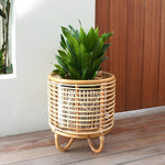 Rattan Plant Pots | Cane Flower Pots | Bamboo Planters - Kimaya by Luxury Rattan Handicrafts 