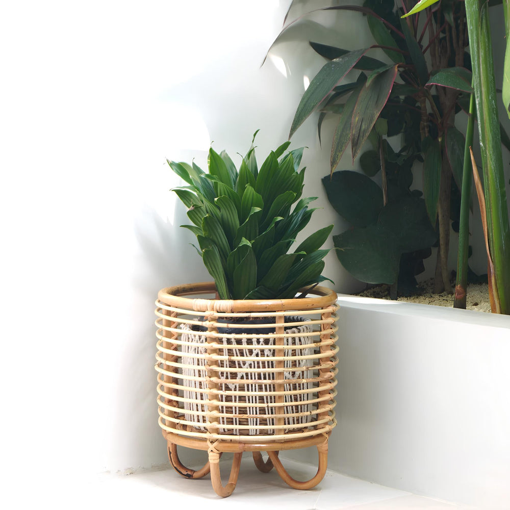 Rattan Plant Pots | Cane Flower Pots | Bamboo Planters - Kimaya by Luxury Rattan Handicrafts 