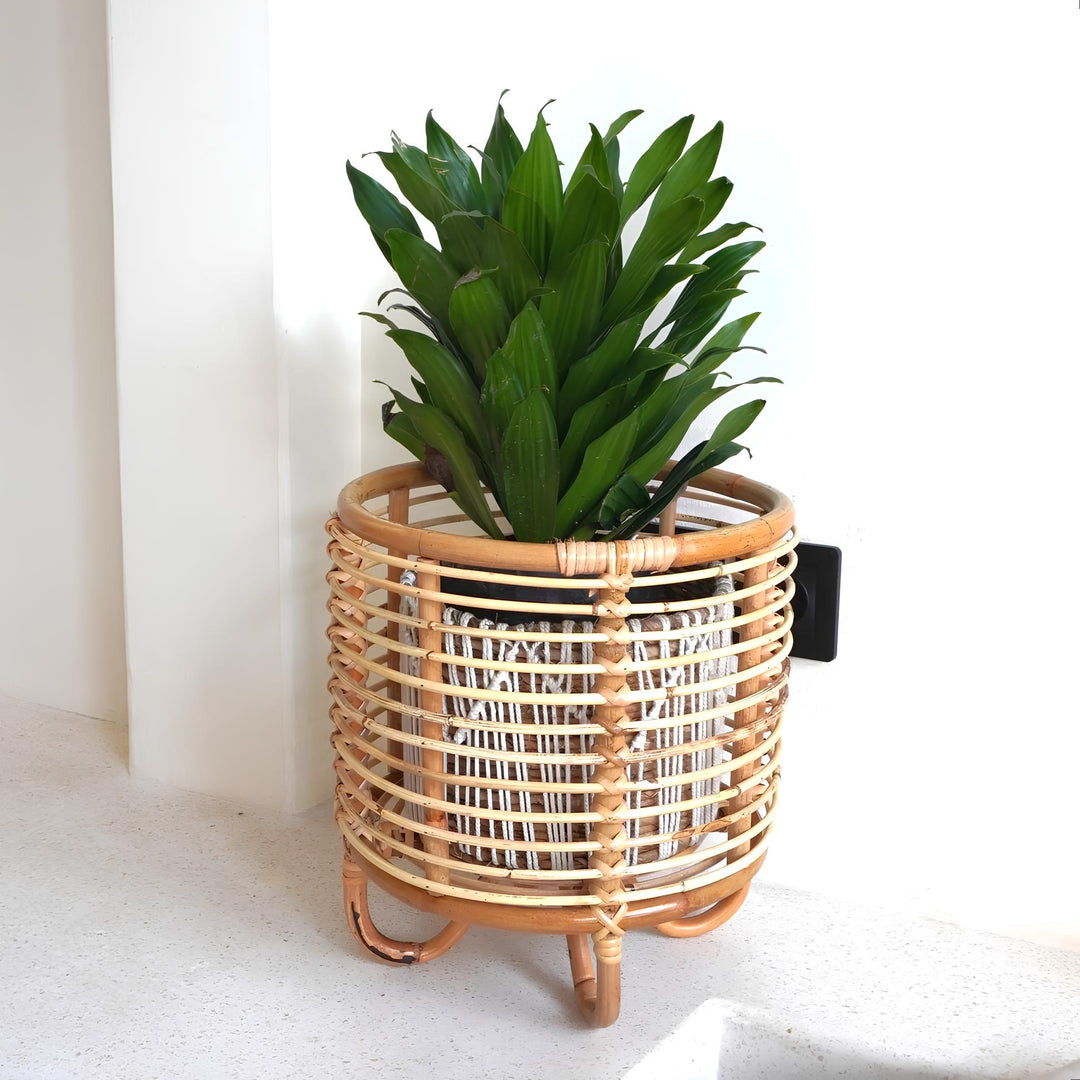 Rattan Plant Pots | Cane Flower Pots | Bamboo Planters - Kimaya by Luxury Rattan Handicrafts 