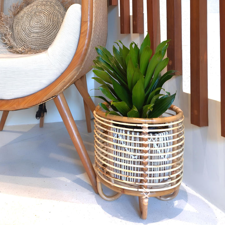 Rattan Plant Pots | Cane Flower Pots | Bamboo Planters - Kimaya by Luxury Rattan Handicrafts 