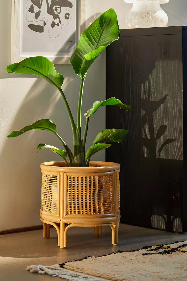Rattan Planter for Indoor - Kellworth