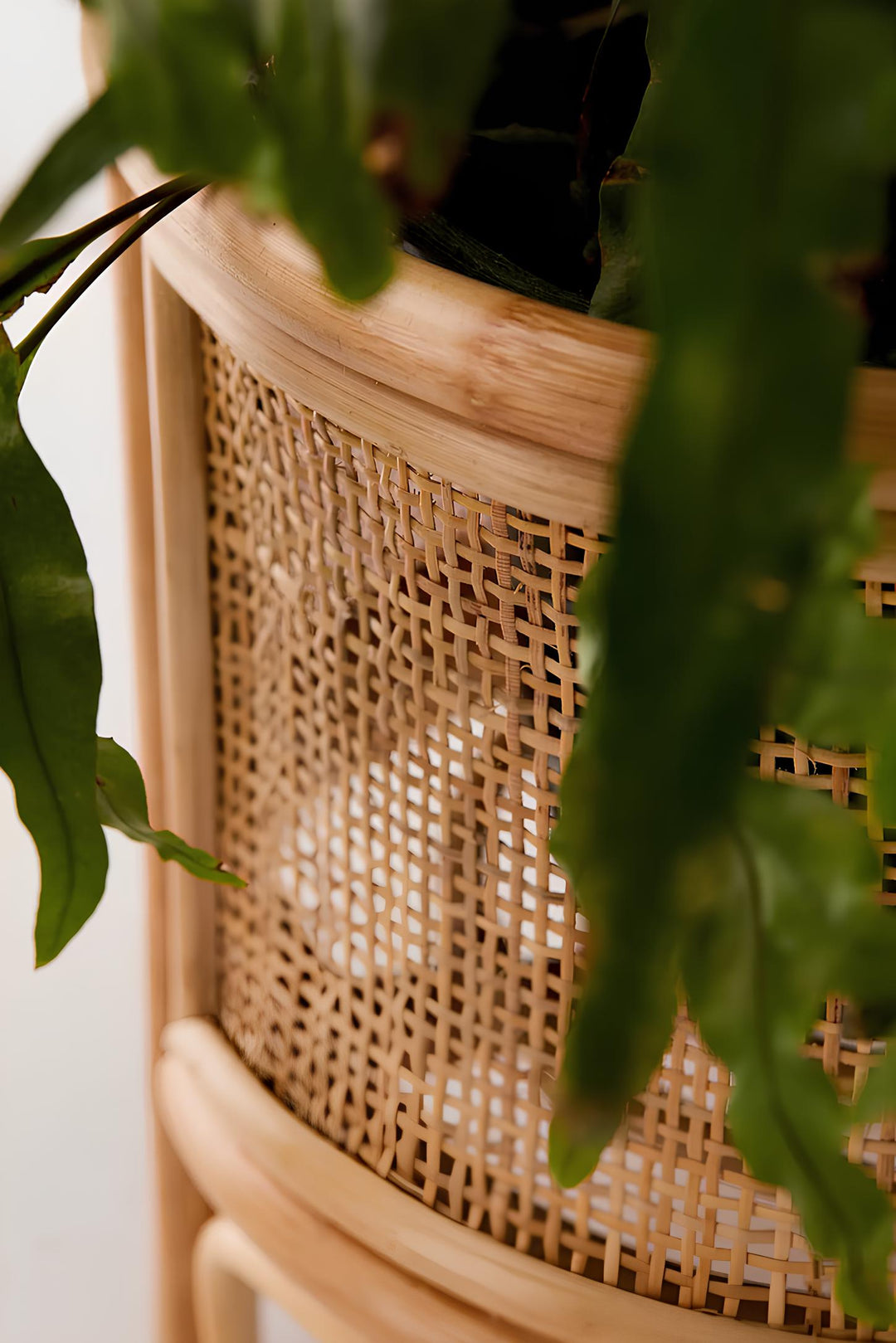 Rattan Planter for Indoor - Kellworth