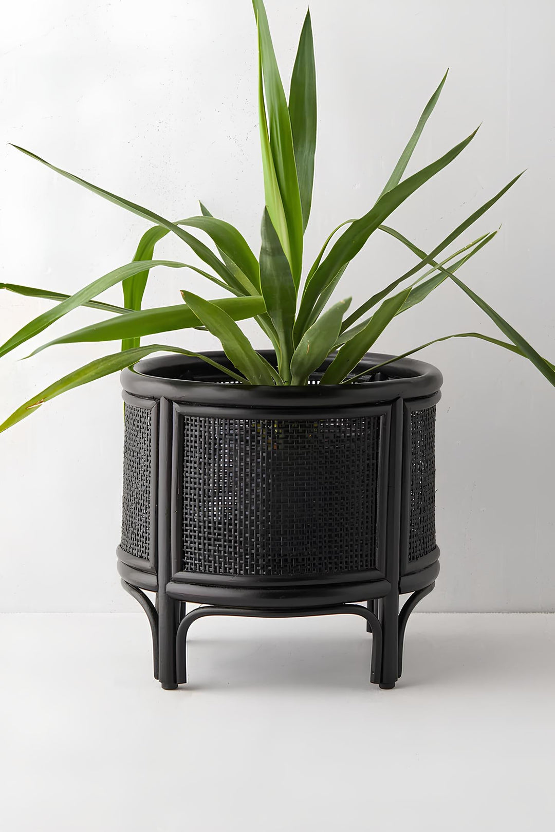 Rattan Plant Pot | Cane Flower Pot with Stand - Adah by Luxury Rattan Handicrafts 