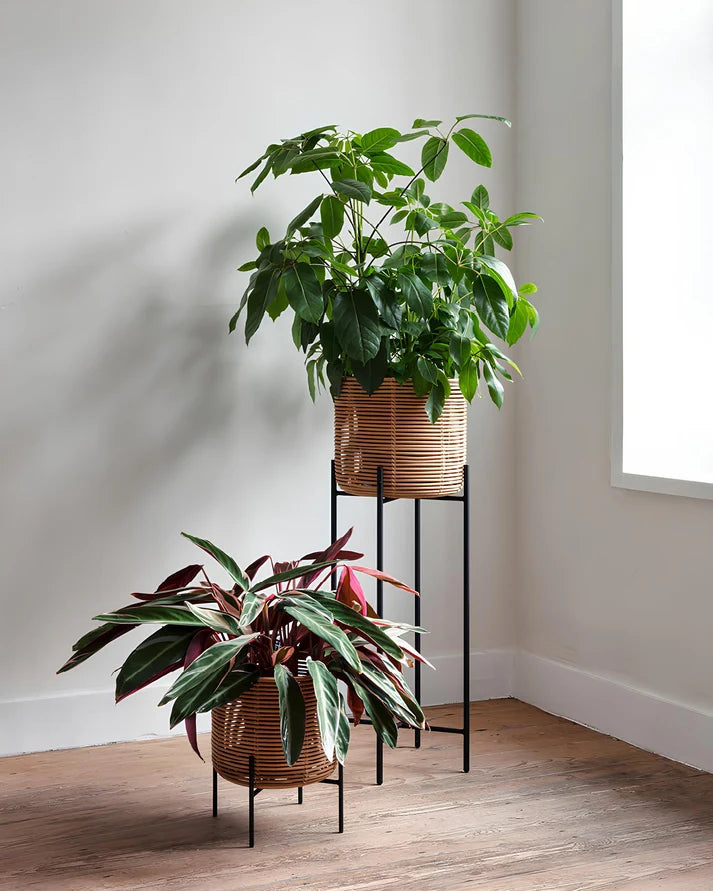 Rattan Planter Set of 4 | Bamboo Plant Pots for Living Room - Orlander
