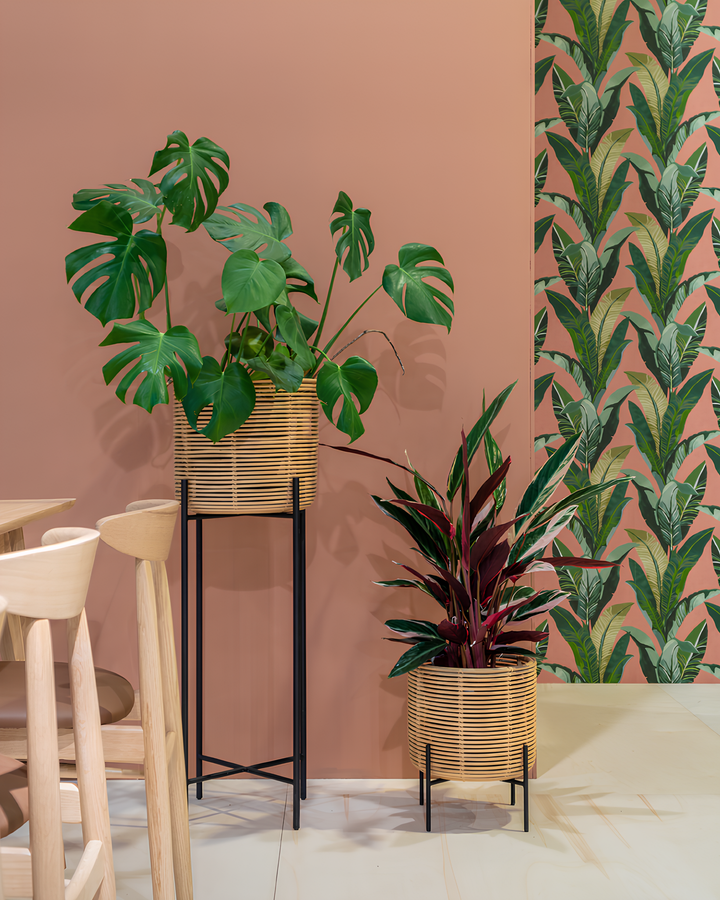 Rattan Planter Set of 4 | Bamboo Plant Pots for Living Room - Orlander