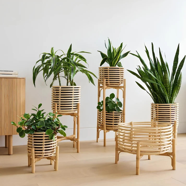 Rattan Planter with Stand | Bamboo Plant Pot in 5 Sizes - Pryorson