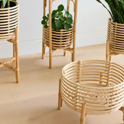 Rattan Planter with Stand | Bamboo Plant Pot in 5 Sizes - Pryorson