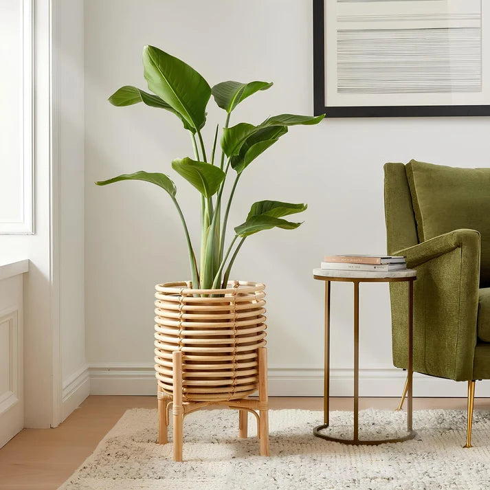 Rattan Planter with Stand | Bamboo Plant Pot in 5 Sizes - Pryorson
