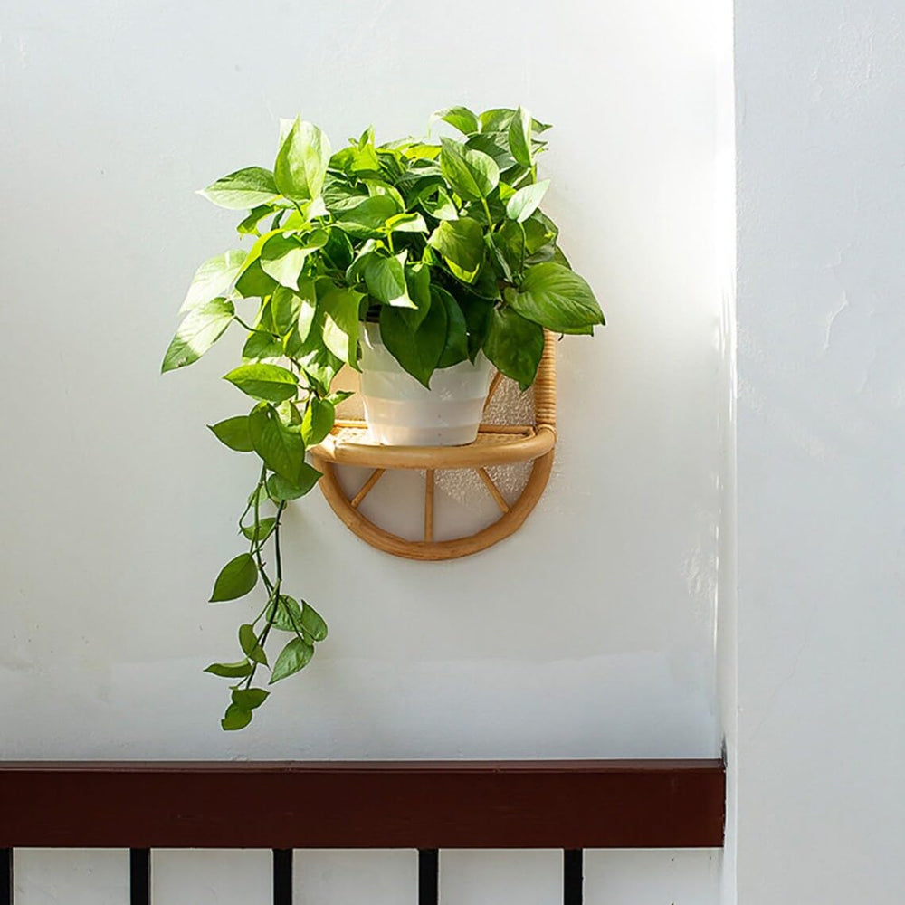 Luxury Rattan Handicrafts  Rattan Arc Wall Shelf, Indoor Plant Holder, Plant Shelf for Hallways, Decor Holder, Handmade Natural Rattan Organiser -