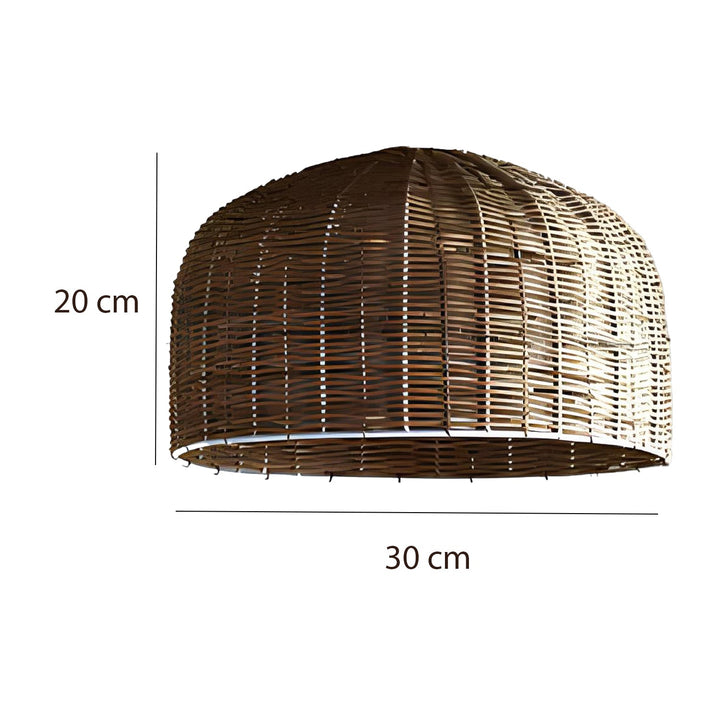 Bamboo Hanging Light for Drawing Room | Cane Pendant Lamp - Wren