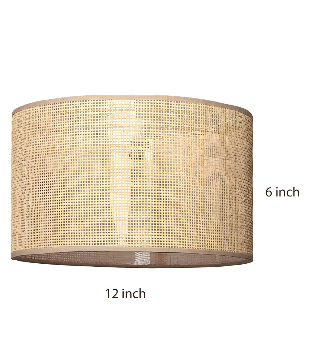 Bamboo Hanging lamp for Living Room | Rattan Pendant light | Cane ceiling light - Aster - Luxury Rattan Handicrafts  Lighting > Pendant Lights (Im