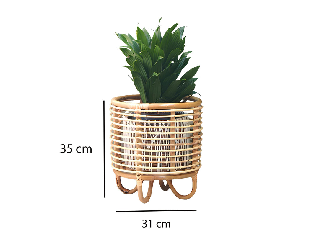 Rattan Plant Pots | Cane Flower Pots | Bamboo Planters - Kimaya by Luxury Rattan Handicrafts 