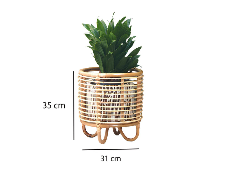 Rattan Plant Pots | Cane Flower Pots | Bamboo Planters - Kimaya by Luxury Rattan Handicrafts 