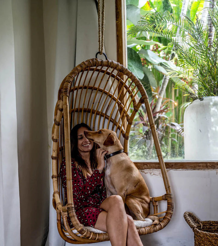Bamboo Cane Swing Chair for Balcony & Patio - Asmee | Luxury Rattan Handicrafts 