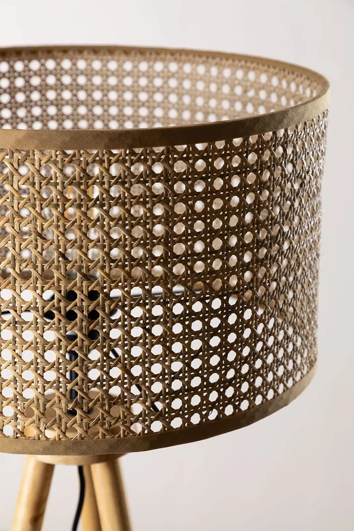 Rattan Tripod Floor Lamp for Living Room | Modern Standing Lamp - Harry Lewis